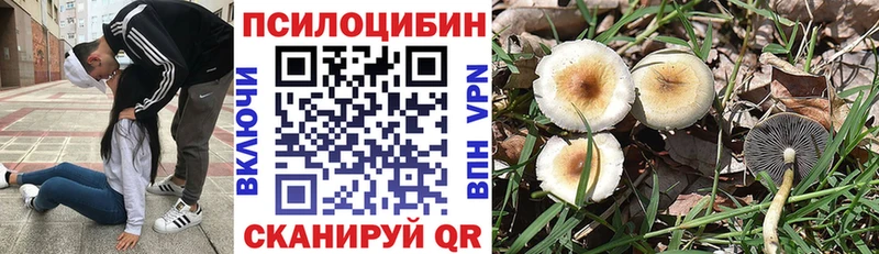 Псилоцибиновые грибы Psilocybine cubensis  Бавлы 