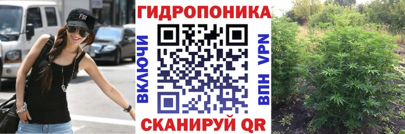 купить наркотик  Бавлы  Бошки марихуана план 